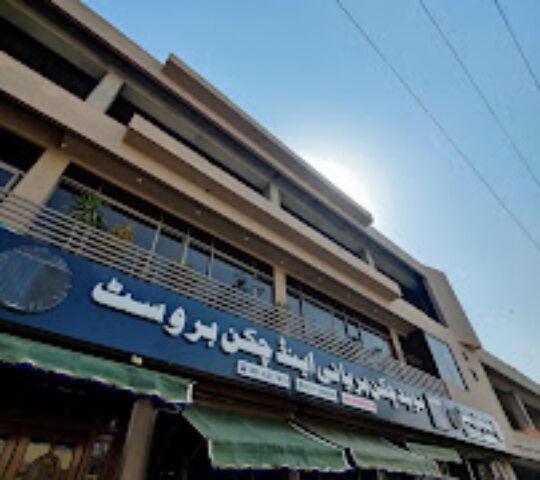 Naveed Chicken Biryani & Chicken Broast Gulgasht